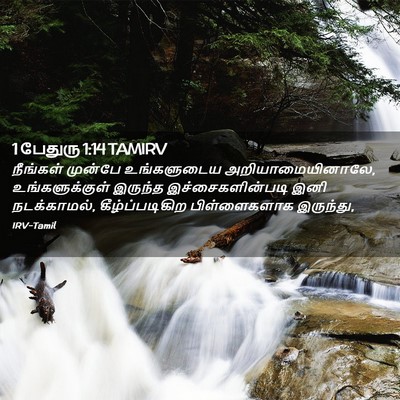 Picture 02 - 1 பேதுரு 1:14 TAMIRV - நீங்கள் முன்பே - Bible Verse Picture