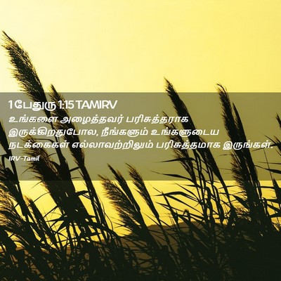 Picture 02 - 1 பேதுரு 1:15 TAMIRV - உங்களை அழைத்தவர் - Bible Verse Picture
