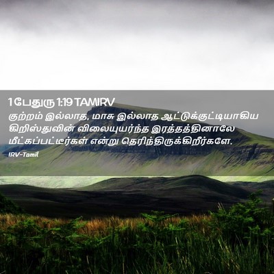 Picture 02 - 1 பேதுரு 1:19 TAMIRV - குற்றம் இல்லாத, - Bible Verse Picture