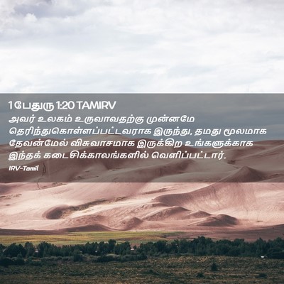 Picture 02 - 1 பேதுரு 1:20 TAMIRV - அவர் உலகம் - Bible Verse Picture
