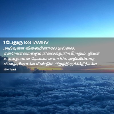 Picture 02 - 1 பேதுரு 1:23 TAMIRV - அழிவுள்ள - Bible Verse Picture