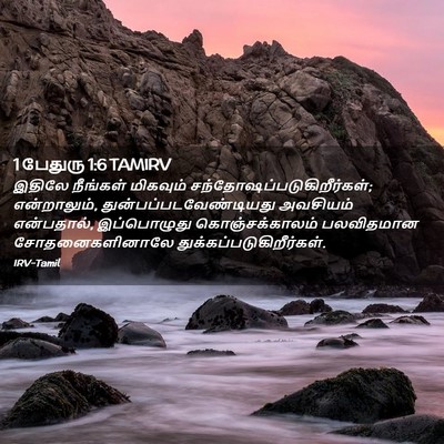 Picture 02 - 1 பேதுரு 1:6 TAMIRV - இதிலே நீங்கள் - Bible Verse Picture
