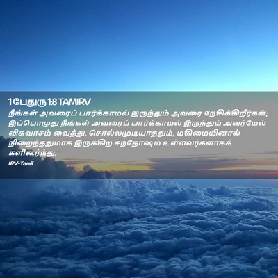 Picture 02 - 1 பேதுரு 1:8 TAMIRV - நீங்கள் அவரைப் - Bible Verse Picture