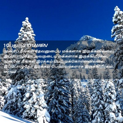 Picture 02 - 1 பேதுரு 2:10 TAMIRV - முன்பே நீங்கள் - Bible Verse Picture