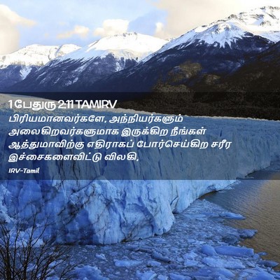 Picture 02 - 1 பேதுரு 2:11 TAMIRV - பிரியமானவர்களே, - Bible Verse Picture