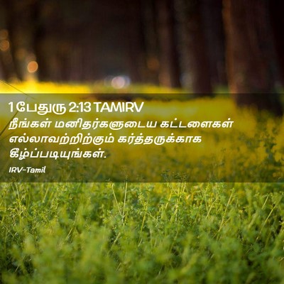 Picture 02 - 1 பேதுரு 2:13 TAMIRV - நீங்கள் - Bible Verse Picture