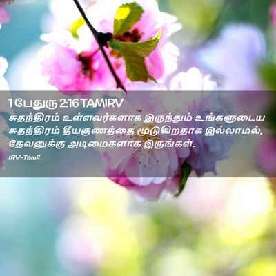 Picture 02 - 1 பேதுரு 2:16 TAMIRV - சுதந்திரம் - Bible Verse Picture
