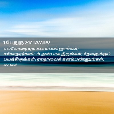 Picture 02 - 1 பேதுரு 2:17 TAMIRV - எல்லோரையும் - Bible Verse Picture