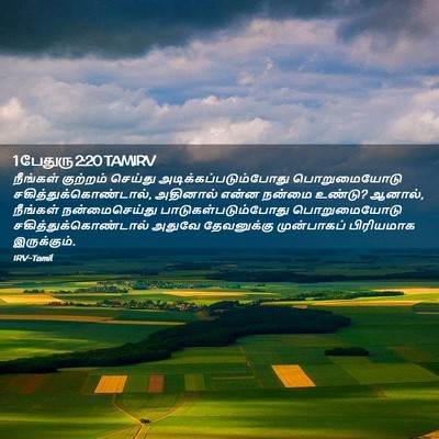 Picture 02 - 1 பேதுரு 2:20 TAMIRV - நீங்கள் குற்றம் - Bible Verse Picture