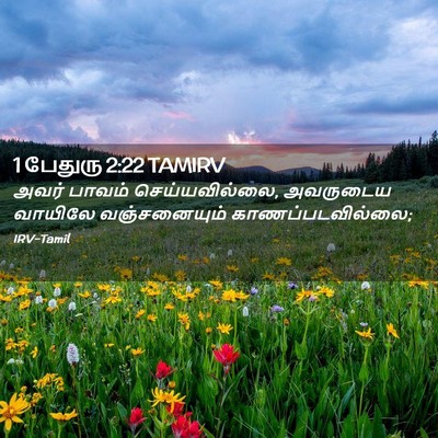 Picture 02 - 1 பேதுரு 2:22 TAMIRV - அவர் பாவம் - Bible Verse Picture