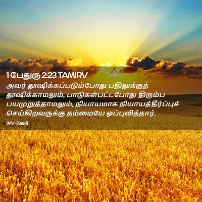 Picture 02 - 1 பேதுரு 2:23 TAMIRV - அவர் - Bible Verse Picture