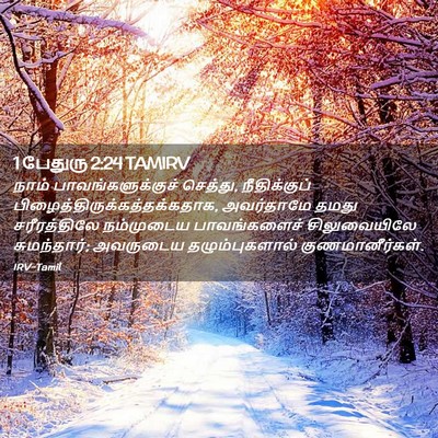 Picture 02 - 1 பேதுரு 2:24 TAMIRV - நாம் - Bible Verse Picture
