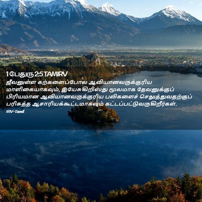 Picture 02 - 1 பேதுரு 2:5 TAMIRV - ஜீவனுள்ள - Bible Verse Picture