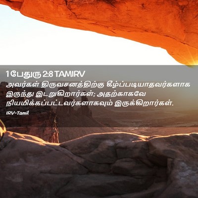 Picture 02 - 1 பேதுரு 2:8 TAMIRV - அவர்கள் - Bible Verse Picture