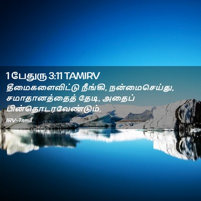 Picture 02 - 1 பேதுரு 3:11 TAMIRV - தீமைகளைவிட்டு - Bible Verse Picture