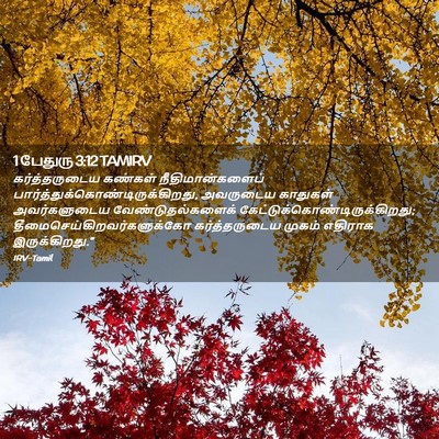 Picture 02 - 1 பேதுரு 3:12 TAMIRV - கர்த்தருடைய - Bible Verse Picture