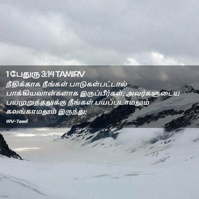 Picture 02 - 1 பேதுரு 3:14 TAMIRV - நீதிக்காக நீங்கள் - Bible Verse Picture