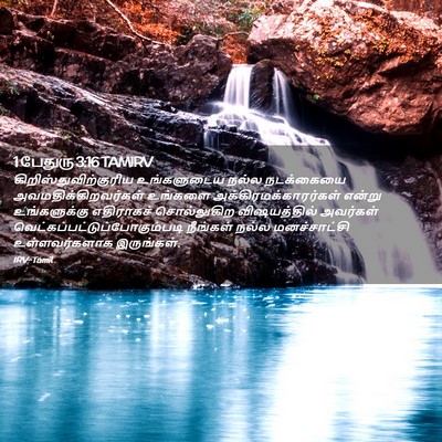 Picture 02 - 1 பேதுரு 3:16 TAMIRV -  - Bible Verse Picture