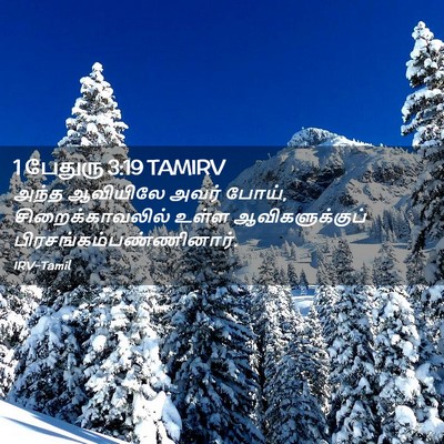 Picture 02 - 1 பேதுரு 3:19 TAMIRV - அந்த ஆவியிலே அவர் - Bible Verse Picture