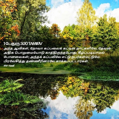 Picture 02 - 1 பேதுரு 3:20 TAMIRV - அந்த ஆவிகள், நோவா - Bible Verse Picture