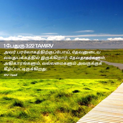 Picture 02 - 1 பேதுரு 3:22 TAMIRV - அவர் - Bible Verse Picture