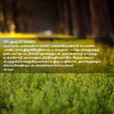Picture 02 - 1 பேதுரு 3:7 TAMIRV - அப்படியே - Bible Verse Picture