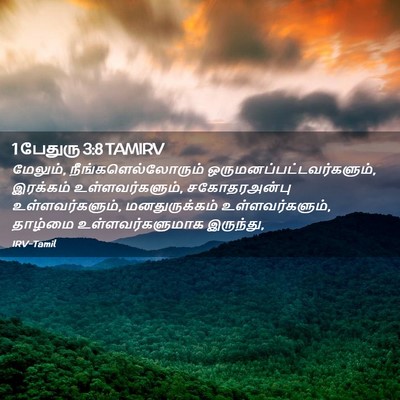 Picture 02 - 1 பேதுரு 3:8 TAMIRV - மேலும், - Bible Verse Picture