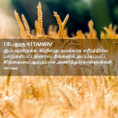 Picture 02 - 1 பேதுரு 4:1 TAMIRV - இப்படியிருக்க, - Bible Verse Picture