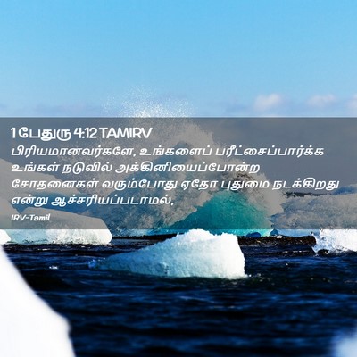 Picture 02 - 1 பேதுரு 4:12 TAMIRV - பிரியமானவர்களே, - Bible Verse Picture