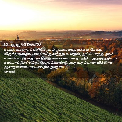 Picture 02 - 1 பேதுரு 4:3 TAMIRV - கடந்த - Bible Verse Picture