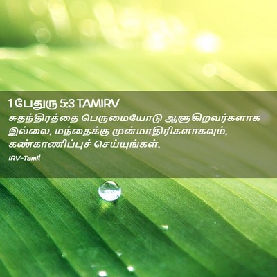 Picture 02 - 1 பேதுரு 5:3 TAMIRV - சுதந்திரத்தை - Bible Verse Picture