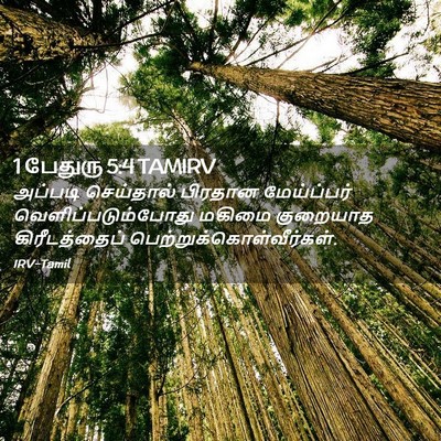 Picture 02 - 1 பேதுரு 5:4 TAMIRV - அப்படி செய்தால் - Bible Verse Picture