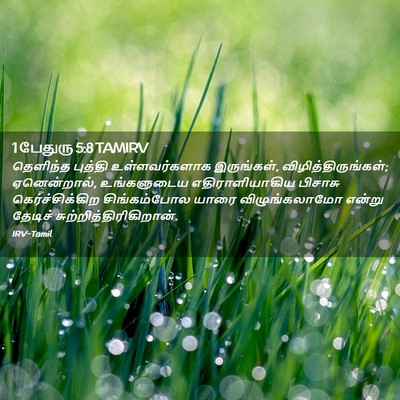 Picture 02 - 1 பேதுரு 5:8 TAMIRV - தெளிந்த புத்தி - Bible Verse Picture