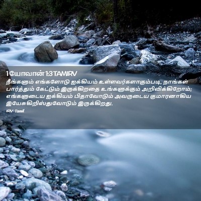 Picture 02 - 1 யோவான் 1:3 TAMIRV - நீங்களும் - Bible Verse Picture