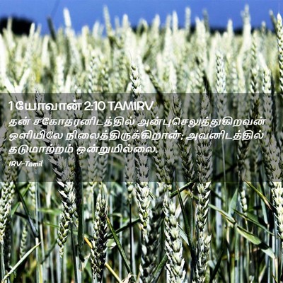 Picture 02 - 1 யோவான் 2:10 TAMIRV - தன் - Bible Verse Picture