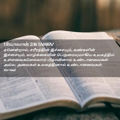 Picture 02 - 1 யோவான் 2:16 TAMIRV - ஏனென்றால், - Bible Verse Picture