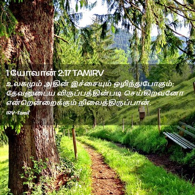 Picture 02 - 1 யோவான் 2:17 TAMIRV - உலகமும் அதின் - Bible Verse Picture