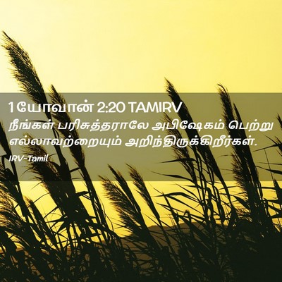 Picture 02 - 1 யோவான் 2:20 TAMIRV - நீங்கள் - Bible Verse Picture