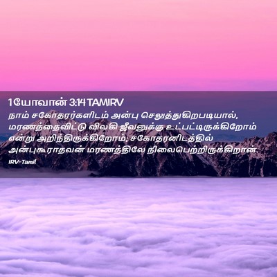 Picture 02 - 1 யோவான் 3:14 TAMIRV - நாம் - Bible Verse Picture