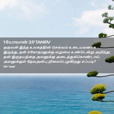 Picture 02 - 1 யோவான் 3:17 TAMIRV - ஒருவன் இந்த - Bible Verse Picture