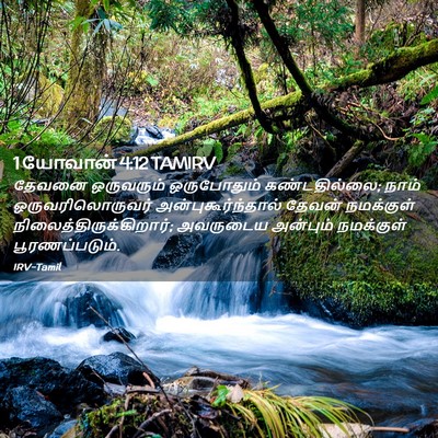 Picture 02 - 1 யோவான் 4:12 TAMIRV - தேவனை ஒருவரும் - Bible Verse Picture
