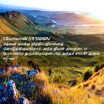 Picture 02 - 1 யோவான் 5:11 TAMIRV - தேவன் நமக்கு - Bible Verse Picture