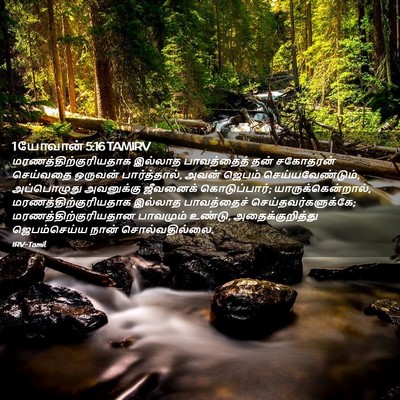 Picture 02 - 1 யோவான் 5:16 TAMIRV -  - Bible Verse Picture