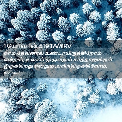 Picture 02 - 1 யோவான் 5:19 TAMIRV - நாம் தேவனால் - Bible Verse Picture