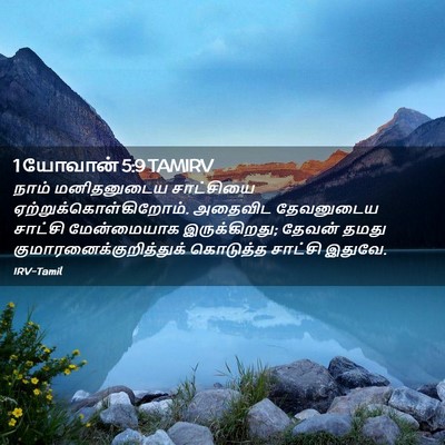Picture 02 - 1 யோவான் 5:9 TAMIRV - நாம் மனிதனுடைய - Bible Verse Picture