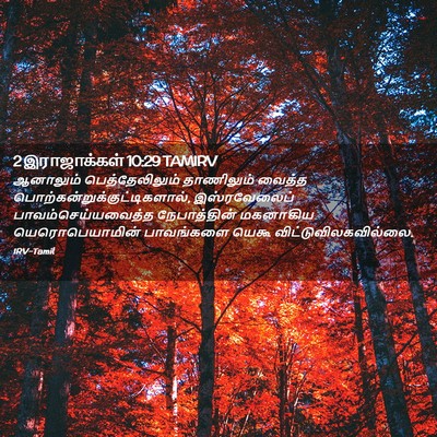 Picture 02 - 2 இராஜாக்கள் 10:29 TAMIRV - ஆனாலும் - Bible Verse Picture
