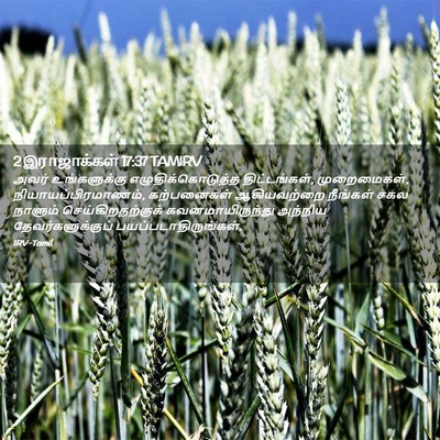 Picture 02 - 2 இராஜாக்கள் 17:37 TAMIRV - அவர் உங்களுக்கு - Bible Verse Picture