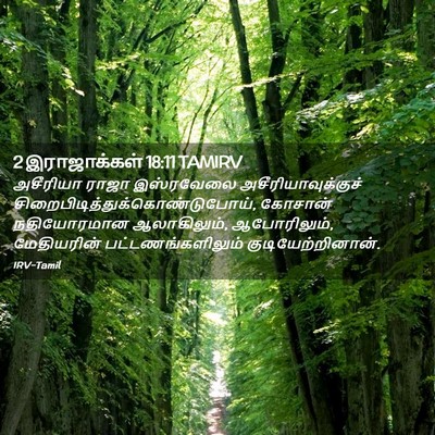 Picture 02 - 2 இராஜாக்கள் 18:11 TAMIRV - அசீரியா ராஜா - Bible Verse Picture