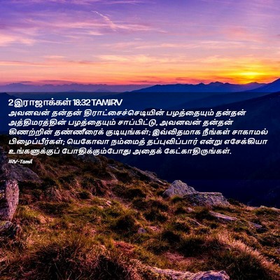 Picture 02 - 2 இராஜாக்கள் 18:32 TAMIRV - அவனவன் தன்தன் - Bible Verse Picture