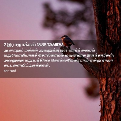 Picture 02 - 2 இராஜாக்கள் 18:36 TAMIRV - ஆனாலும் மக்கள் - Bible Verse Picture